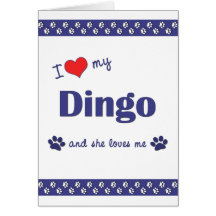 I Love My Dingo (Female Dog) Greeting Card