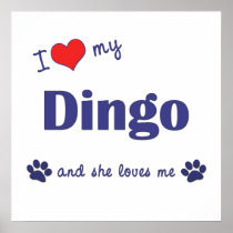 I Love My Dingo (Female Dog) Print