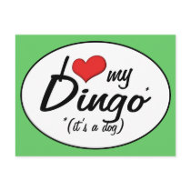 I Love My Dingo (It's a Dog) Post Card