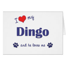 I Love My Dingo (Male Dog) Card