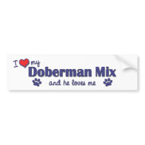 Chow Doberman Mix
