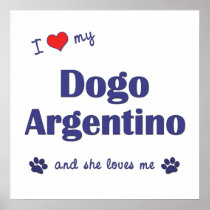 I Love My Dogo Argentino (Female Dog) Posters