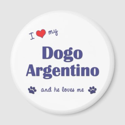 Dogo+argentino+for+sale+uk