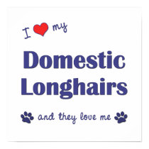 I Love My Domestic Longhairs (Multiple Cats) posters