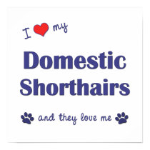 I Love My Domestic Shorthairs (Multiple Cats) posters by customcatgifts I Love My Domestic Shorthairs (Multiple Cats) posters