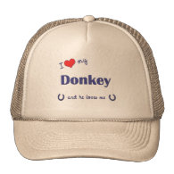 I Love My Donkey (Male Donkey) Mesh Hat