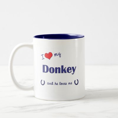 I Love My Donkey and he loves me donkey lover Mug