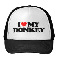 I LOVE MY DONKEY TRUCKER HATS
