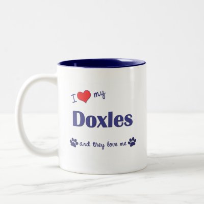 Doxle Dog