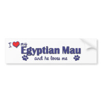 I Love My Egyptian Mau (Male Cat) Bumper Stickers