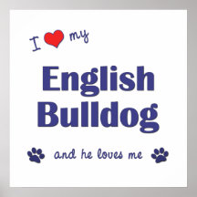 I Love My English Bulldog (Male Dog) Posters