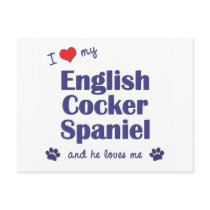 I Love My English Cocker Spaniel (Male Dog) Post Cards