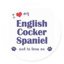 I Love My English Cocker Spaniel (Male Dog) Sticker