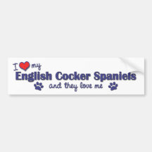 I Love My English Cocker Spaniels (Multiple Dogs) Bumper Stickers