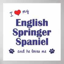 I Love My English Springer Spaniel (Male Dog) Print