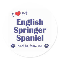 I Love My English Springer Spaniel (Male Dog) stickers