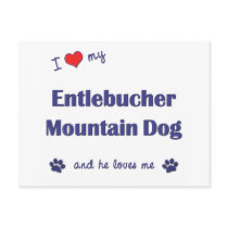 I Love My Entlebucher Mountain Dog (Male Dog) postcards