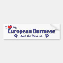 I Love My European Burmese (Female Cat) Bumper Stickers