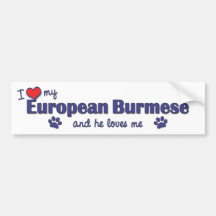 I Love My European Burmese (Male Cat) Bumper Stickers