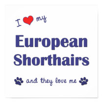 I Love My European Shorthairs (Multiple Cats) posters by customcatgifts I Love My European Shorthairs (Multiple Cats) posters