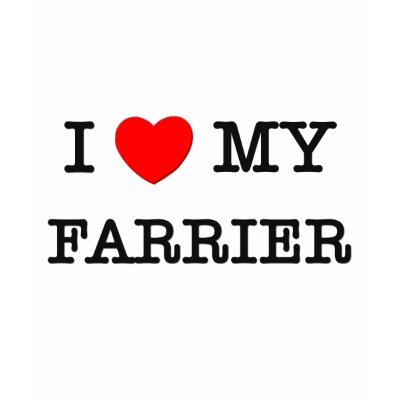i_love_my_farrier_tshirt-p235293009762256712qqbf_400.jpg