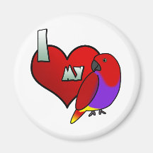 I Love my Female Vosmaeri Eclectus Magnets