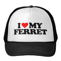 I LOVE MY FERRET MESH HAT