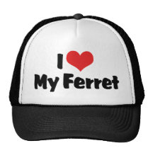 I Love My Ferret Mesh Hats