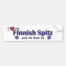 I Love My Finnish Spitz (Female Dog) Bumper Sticker
