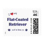 I Love My Flat-Coated Retriever (Male Dog) postage