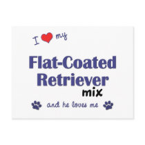 I Love My Flat-Coated Retriever Mix (Male Dog) postcards
