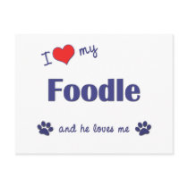 I Love My Foodle (Male Dog) postcards