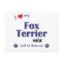 I Love My Fox Terrier Mix (Male Dog) postcards by muttybuddy I Love My Fox Terrier Mix (Male Dog) postcards