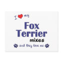 I Love My Fox Terrier Mixes (Multiple Dogs) postcards
