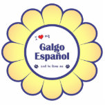 I Love My Galgo Espanol (Male Dog) photo sculptures