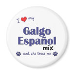 I Love My Galgo Espanol Mix (Female Dog) magnets