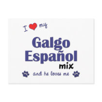 I Love My Galgo Espanol Mix (Male Dog) Postcards