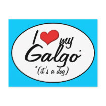 I Love My Galgo (It's a Dog) Post Card