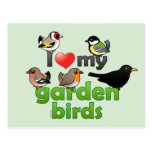 I Love My Garden Birds Postcard