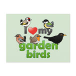 I Love My Garden Birds Post Card