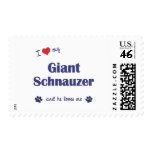 I Love My Giant Schnauzer (Male Dog) postage