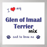 I Love My Glen of Imaal Terrier Mix (He) Poster