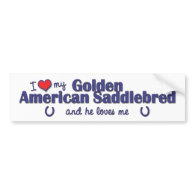 I Love My Golden American Saddlebred (Male Horse) Bumper Stickers