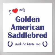 I Love My Golden American Saddlebred (Male Horse) Poster