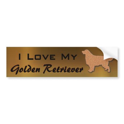 goldendoodle rescue florida. dogs and rescue dogs.