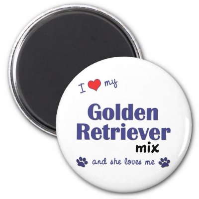 golden retriever mixed breeds. Show the world how much you love your Golden Retriever mixed breed dog (and