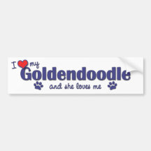 I Love My Goldendoodle (Female Dog) Bumper Stickers