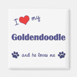 I Love My Goldendoodle (Male Dog) Magnet