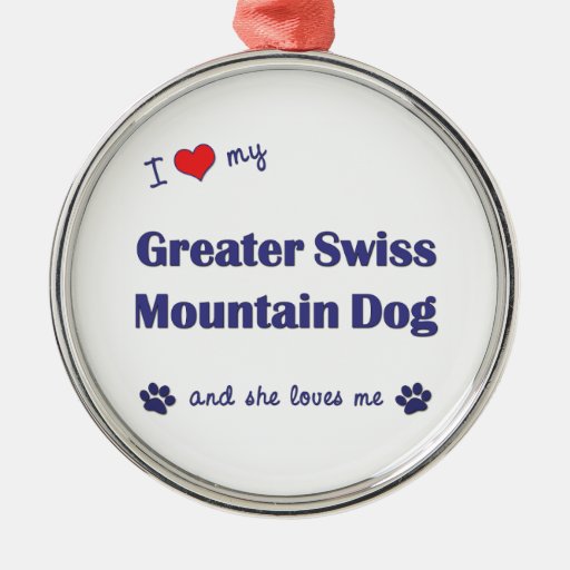 I Love My Greater Swiss Mountain Dog (Female Dog) Christmas Ornaments