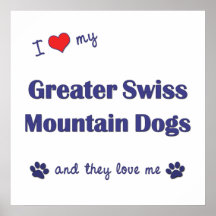 I Love My Greater Swiss Mountain Dogs (Multi Dogs) Poster